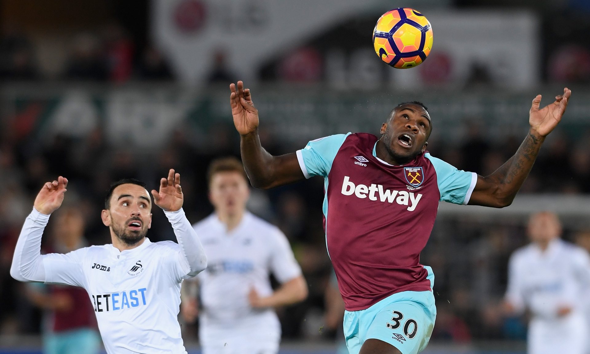 年龄的成熟 年龄的成熟