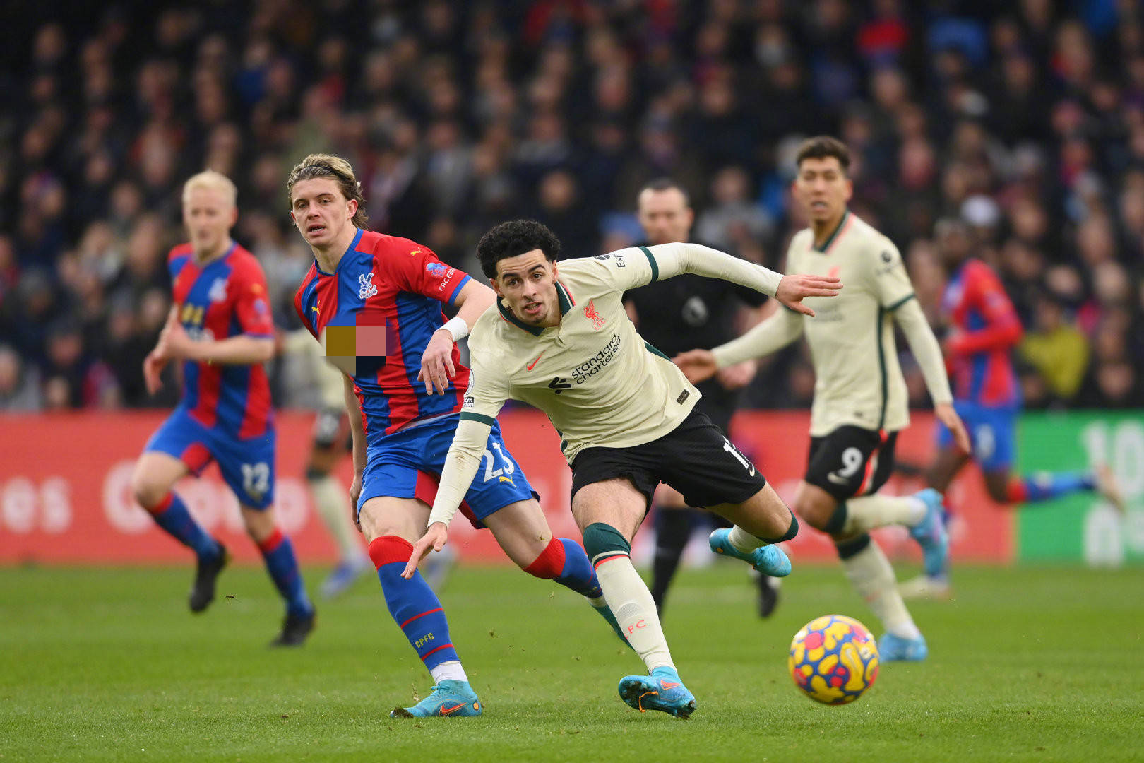 研究发现 研究发现