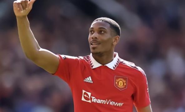 但它确实引 但它确实引